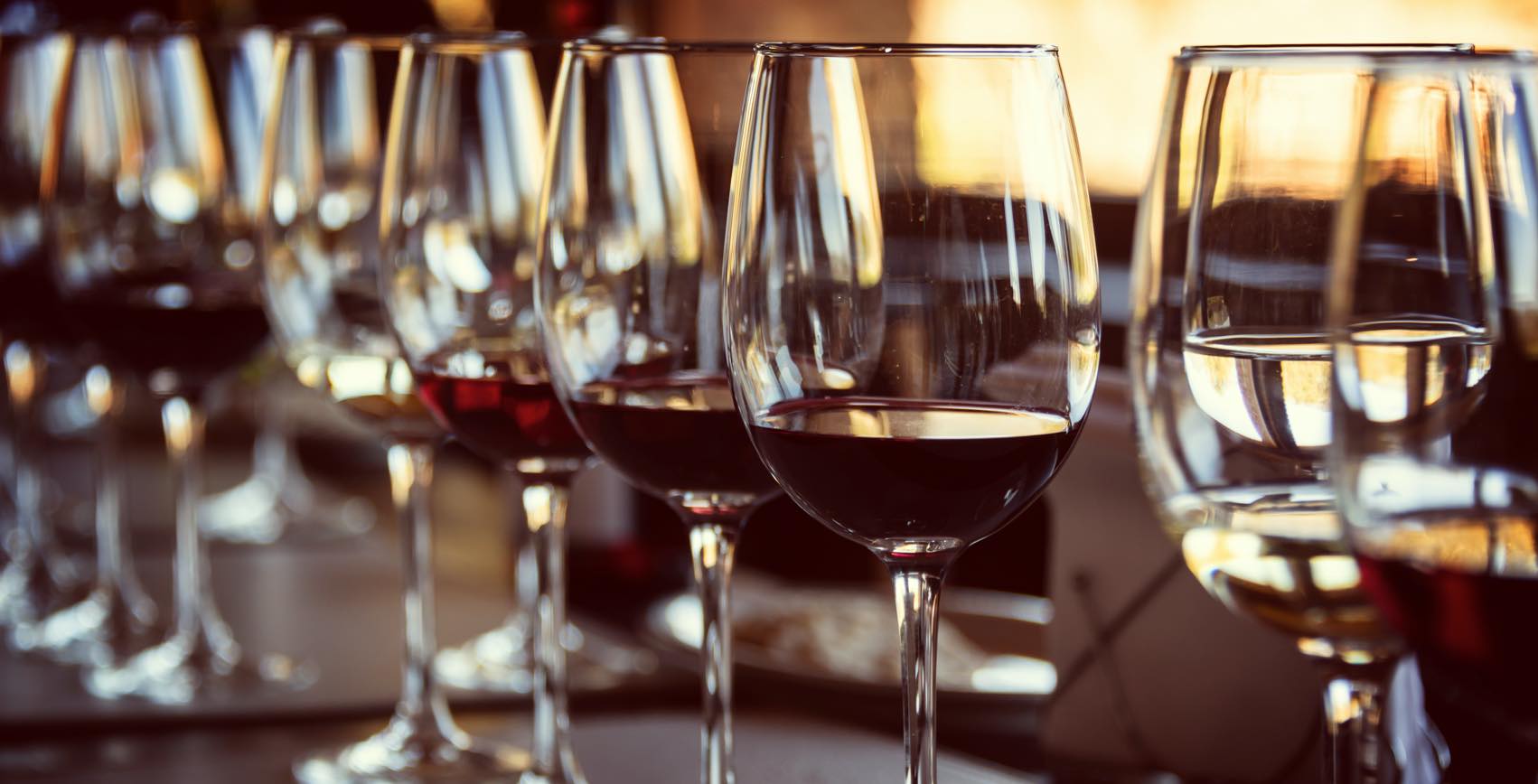 Wine Filtration Amazon Filters